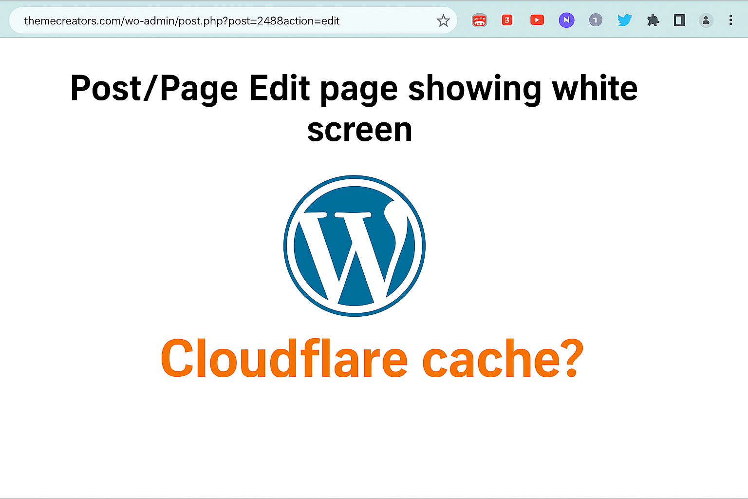 How I Solved the White Screen Issue on the WordPress Page/Post Edit Screen